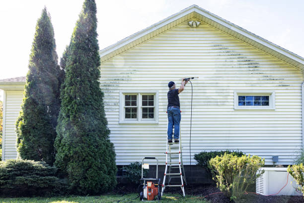 Best Roof Pressure Washing  in Pinole, CA